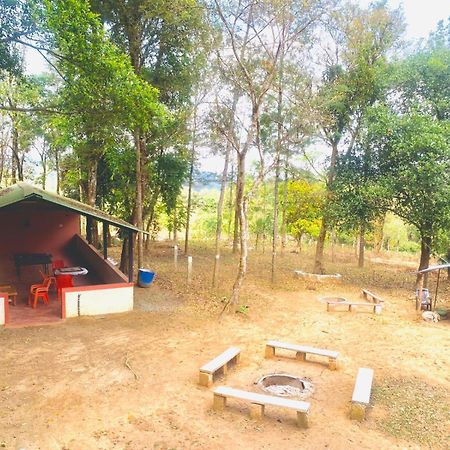 Shrenya Orchidz-Coorg Nature Stay Madikeri Εξωτερικό φωτογραφία