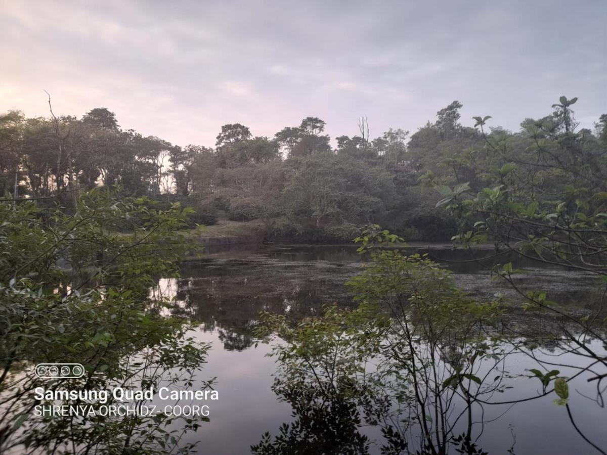 Shrenya Orchidz-Coorg Nature Stay Madikeri Εξωτερικό φωτογραφία