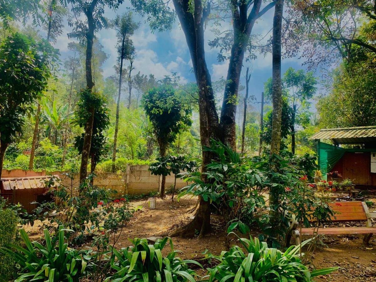 Shrenya Orchidz-Coorg Nature Stay Madikeri Εξωτερικό φωτογραφία