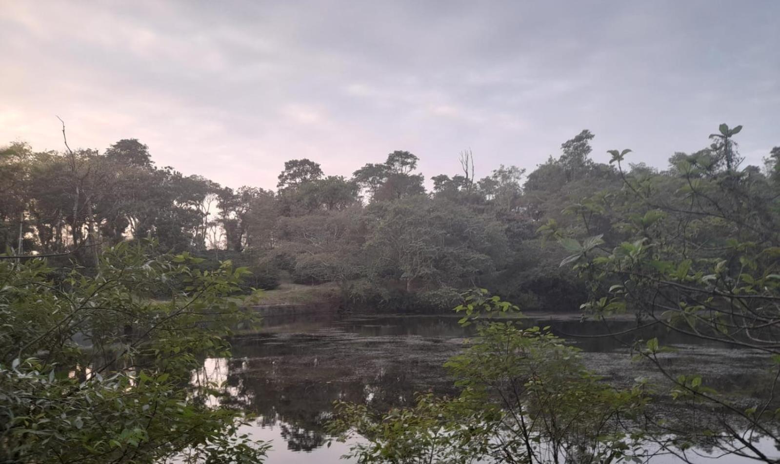 Shrenya Orchidz-Coorg Nature Stay Madikeri Εξωτερικό φωτογραφία