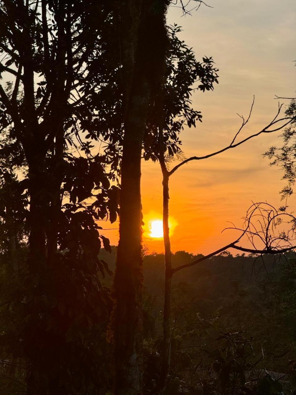 Shrenya Orchidz-Coorg Nature Stay Madikeri Εξωτερικό φωτογραφία