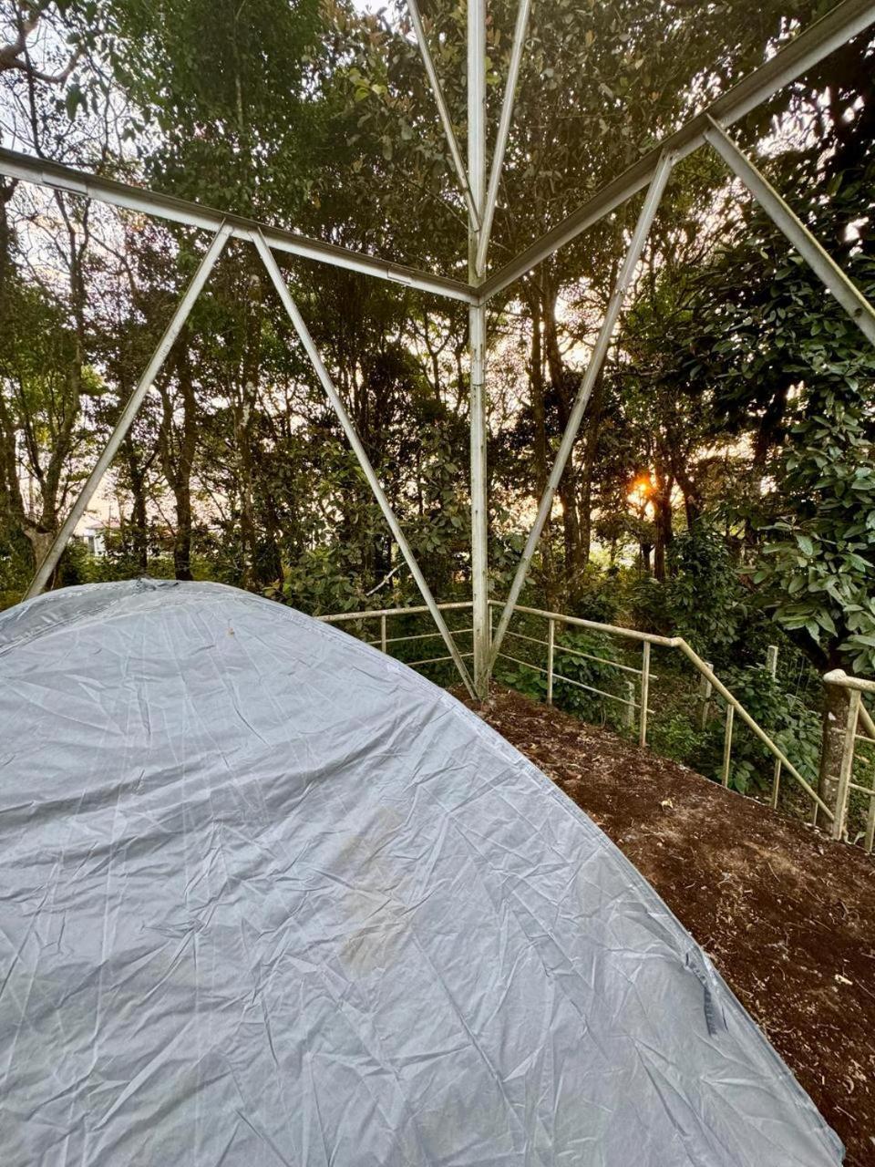 Shrenya Orchidz-Coorg Nature Stay Madikeri Εξωτερικό φωτογραφία